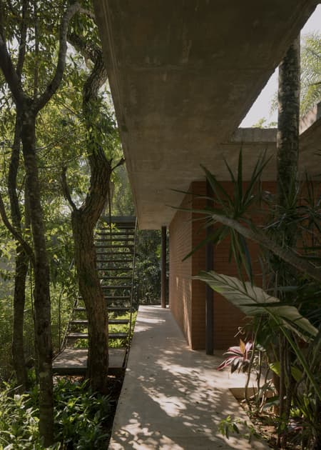 A Forest in the House
